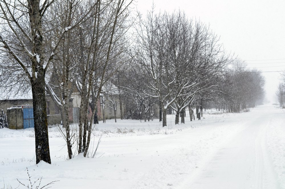 Photograph by Szabó László