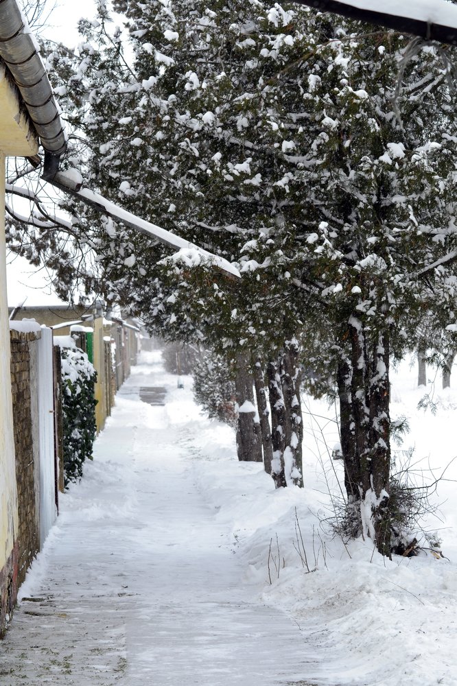 Village snowy street