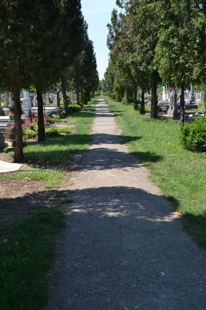 Detail from the cemetery.