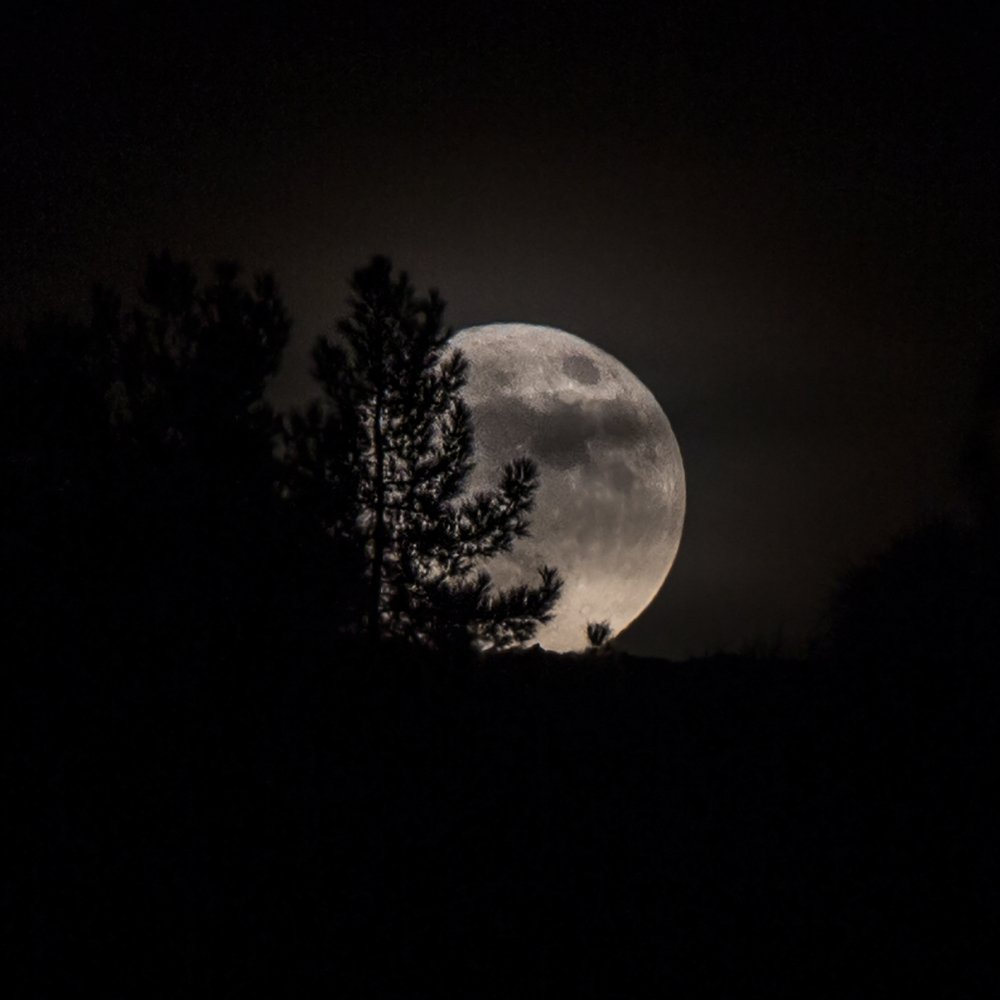 Photograph by  Mohammad Amini