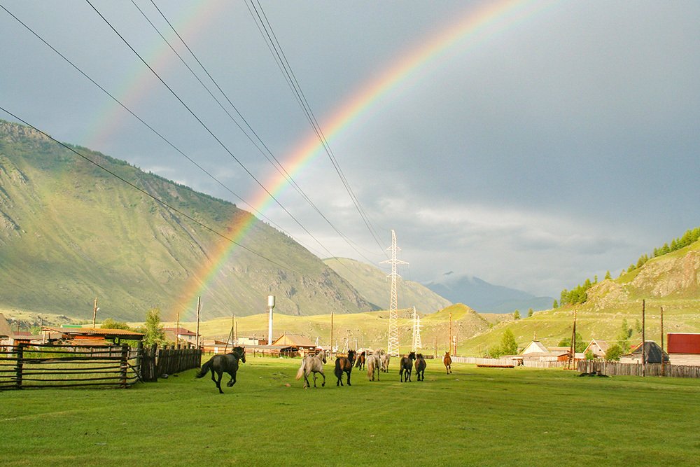 Photograph by Эдуард Шадров