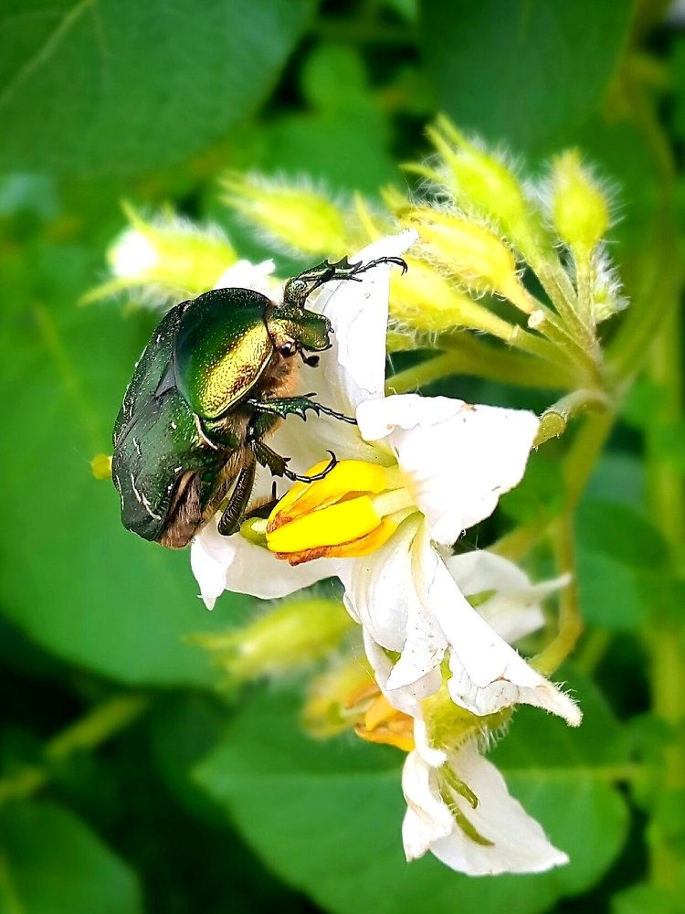 Photograph by Karina Sapfir