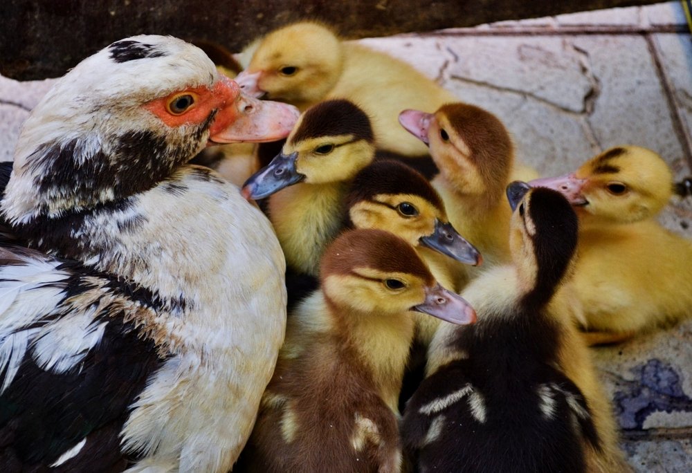 Photograph by Karina Sapfir