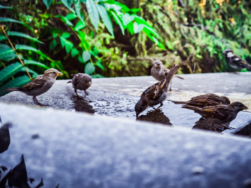 Photograph by Karina Sapfir