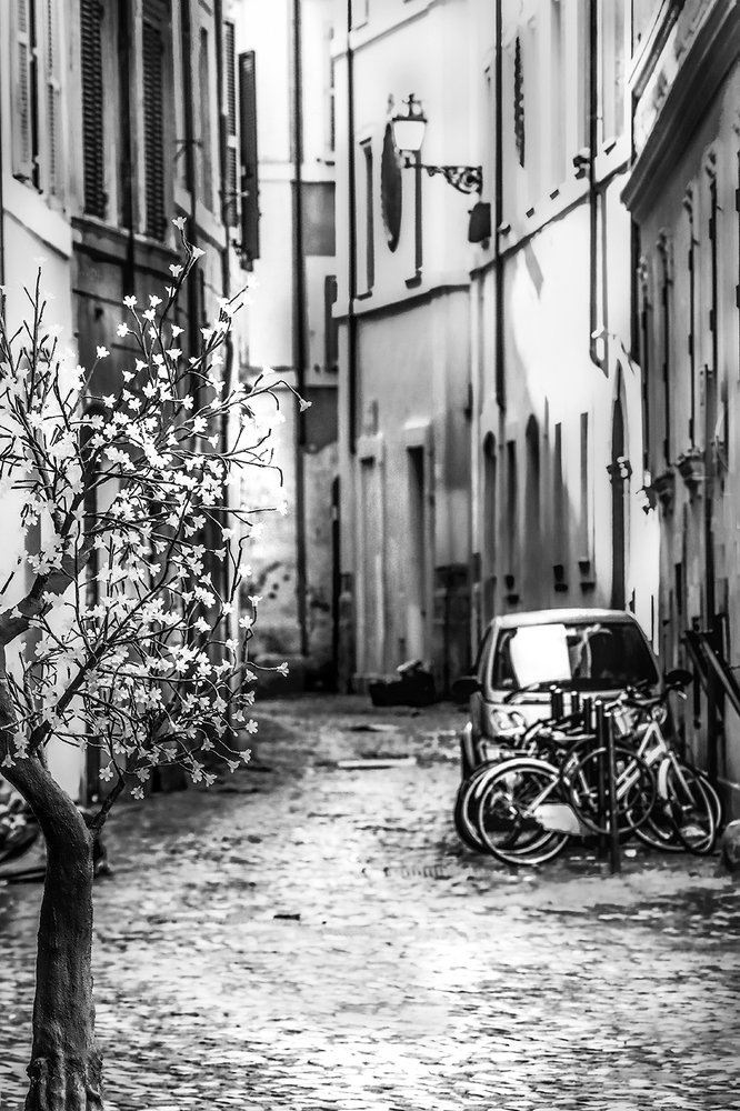 В римском дворике.