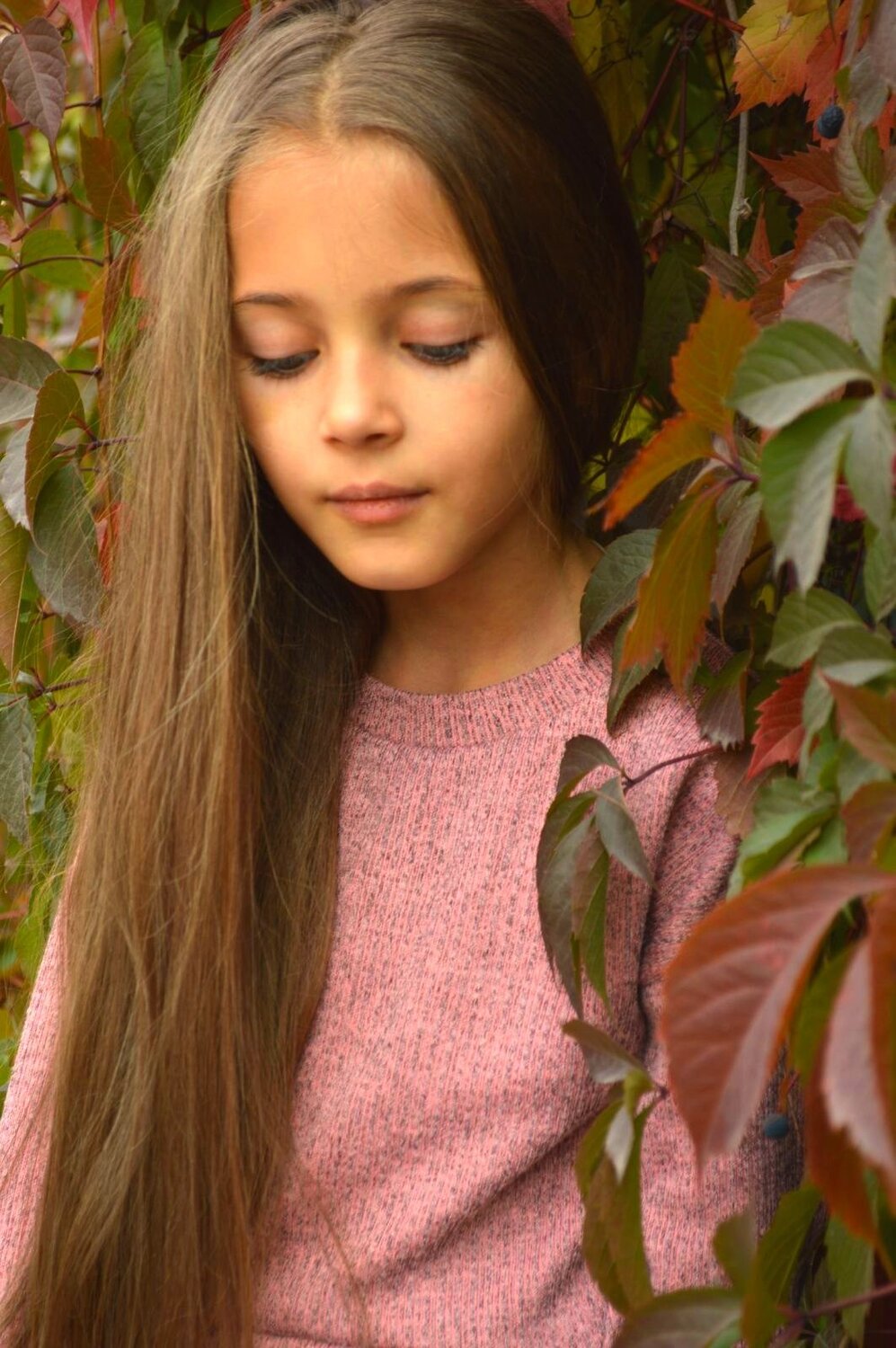 Photo #3875364
