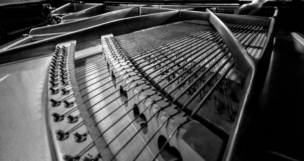 Photograph by Nagy Csaba