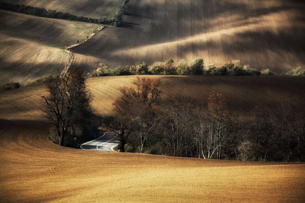 Photograph by Figat Marcin