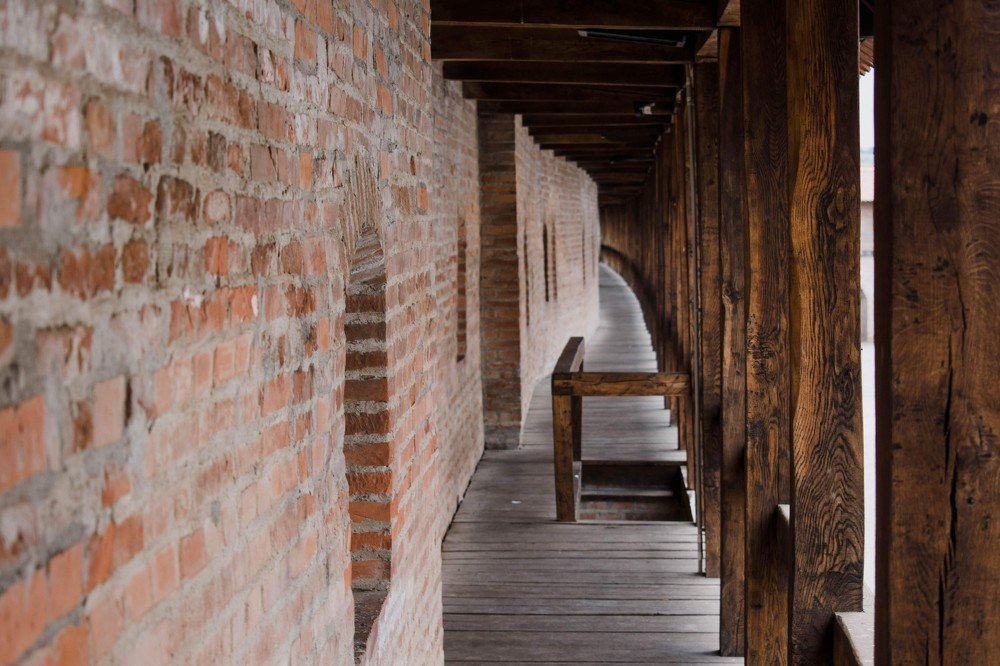 Photograph by Nagy Csaba