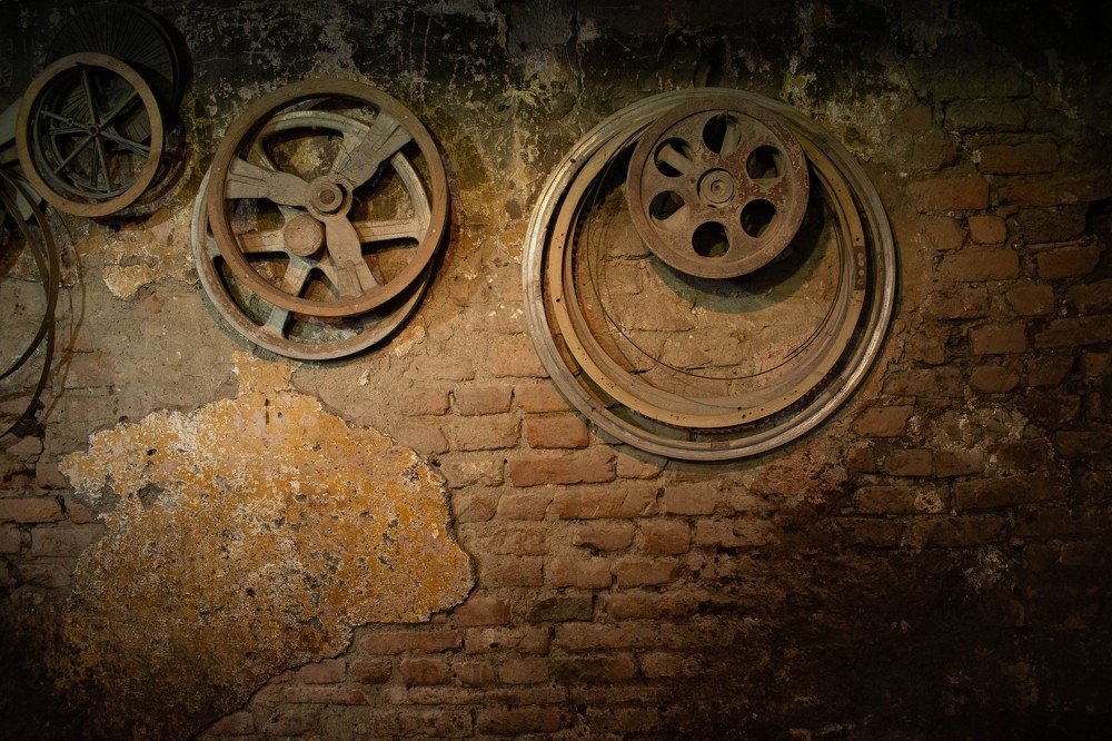 Photograph by Nagy Csaba