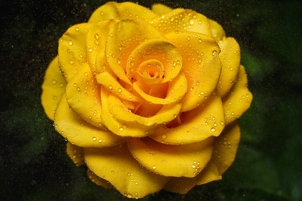 Photograph by Александр Бахаровский