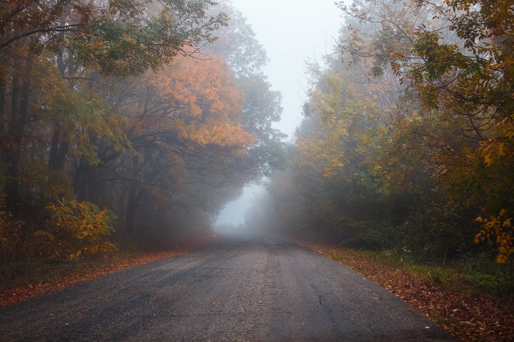 Photograph by Александр Бахаровский
