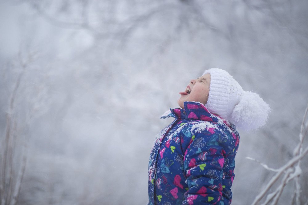 Фотография автора Елена Хальченко