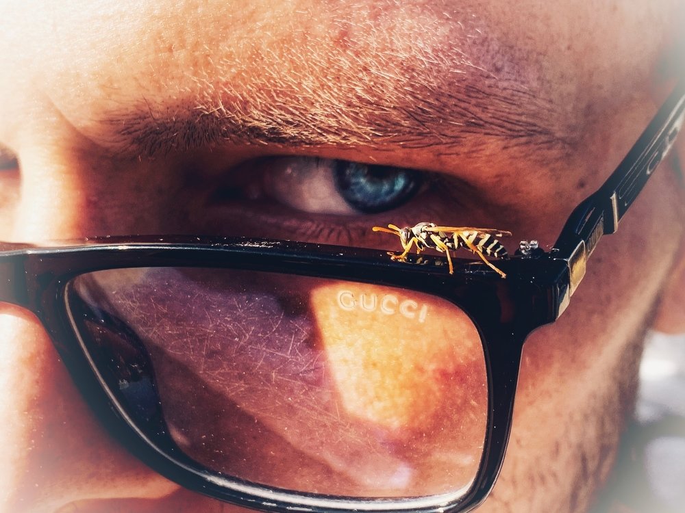 Photograph by Павел Швец