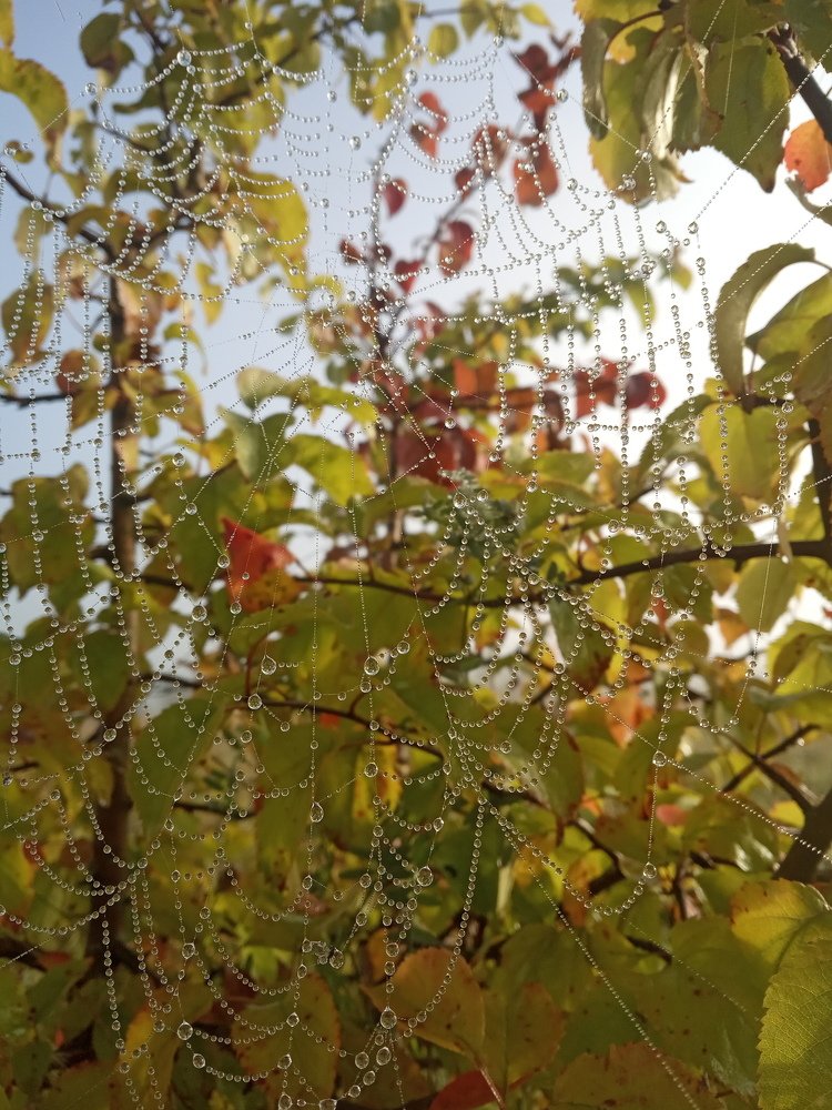 Photograph by Любовь Шаврина