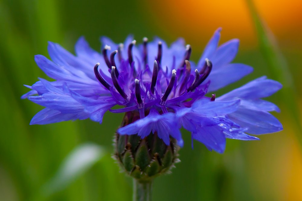 Photograph by Олег Тетерин