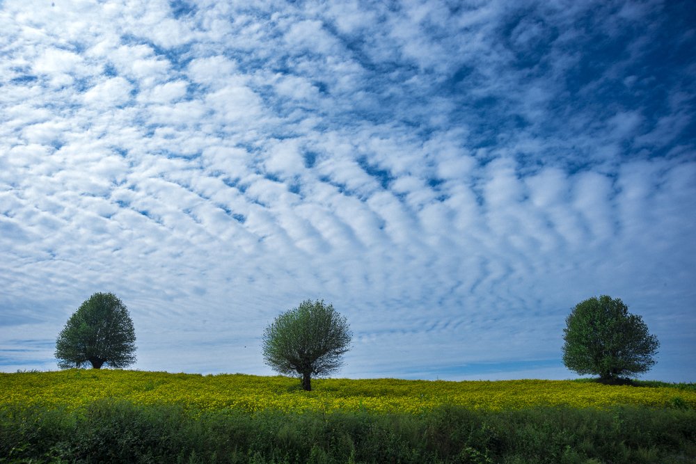 Photograph by Phyo Moe