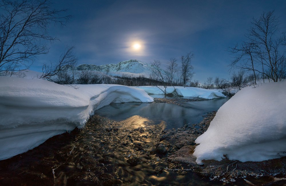 Photograph by Виталий Истомин