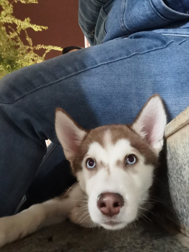 Hello