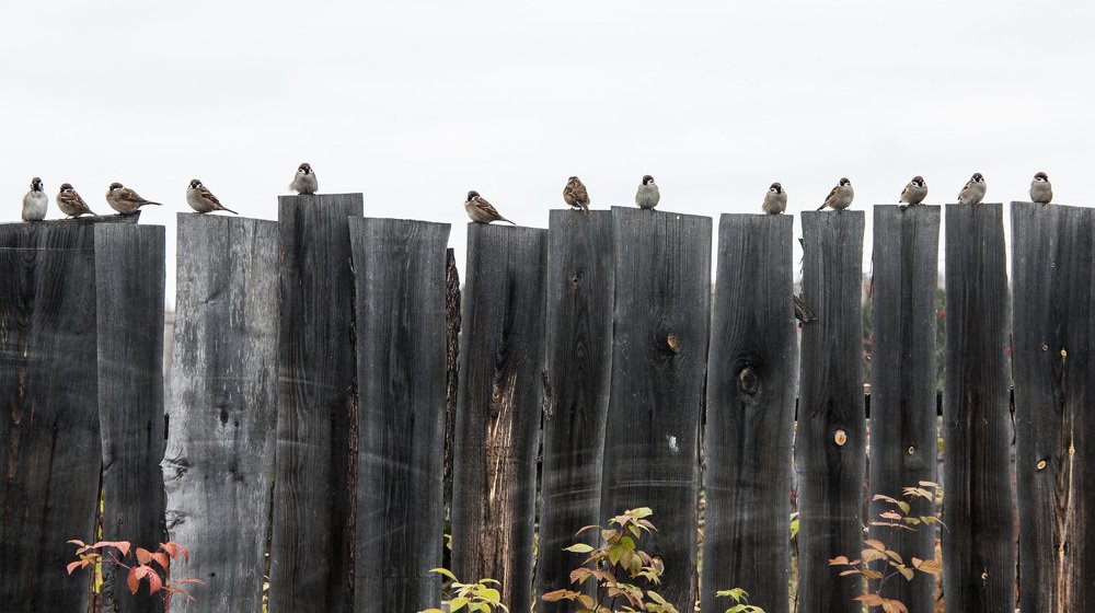 Photograph by Евгения Жос