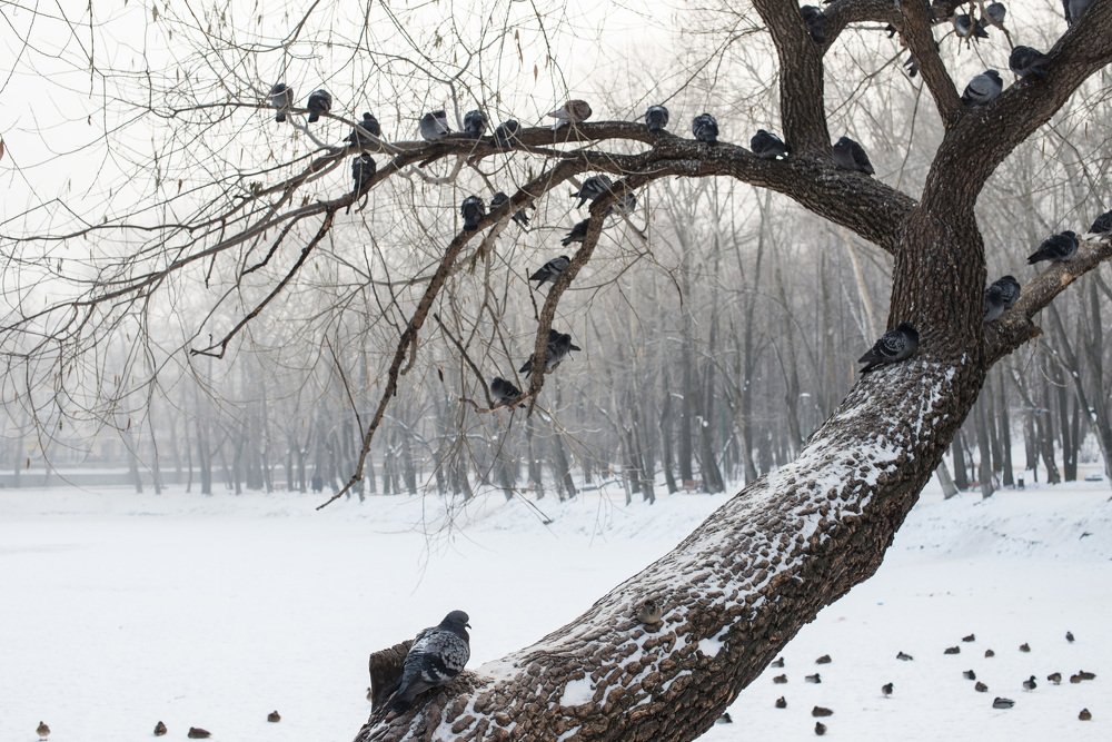 Photograph by Евгения Жос