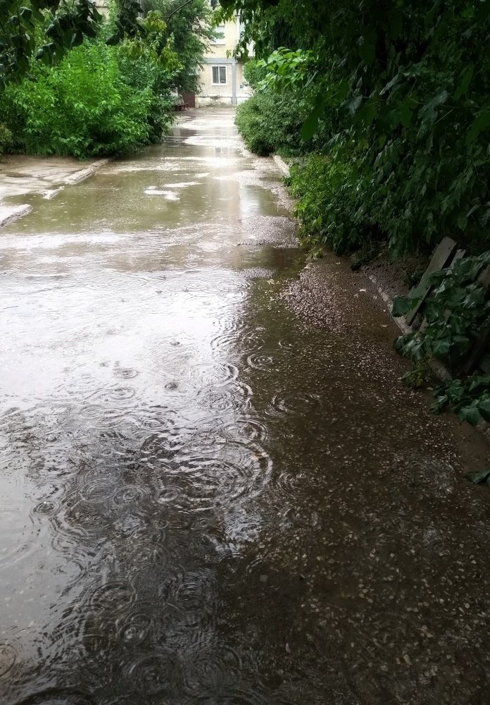 Photograph by Людмила М