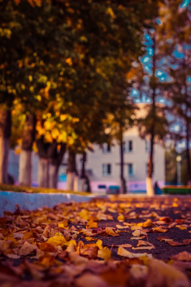 Photograph by Aleksey Kiselew