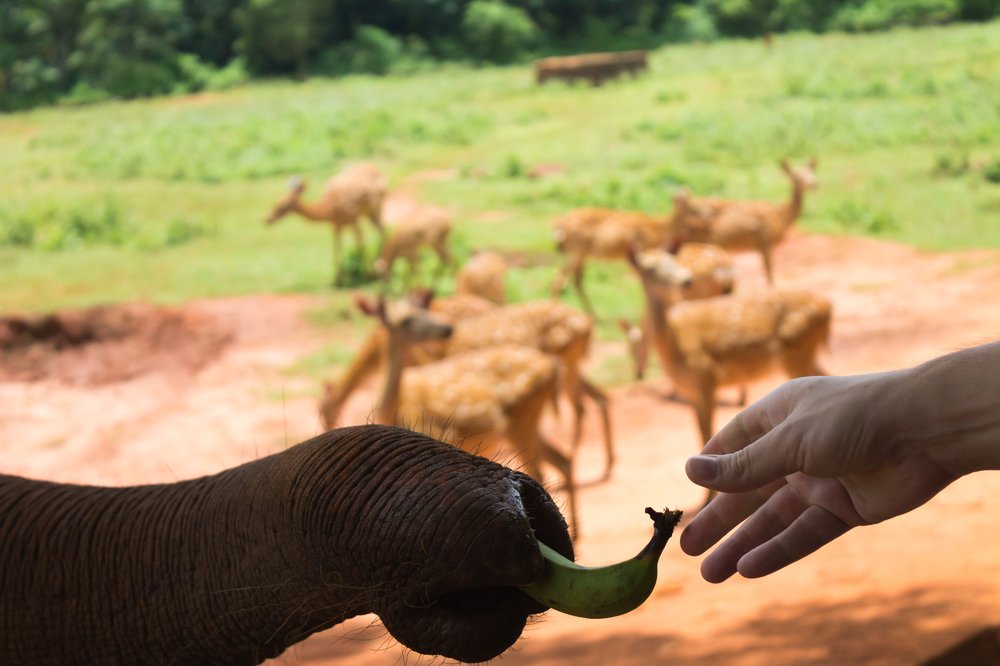 Photograph by Юлия Боровкова