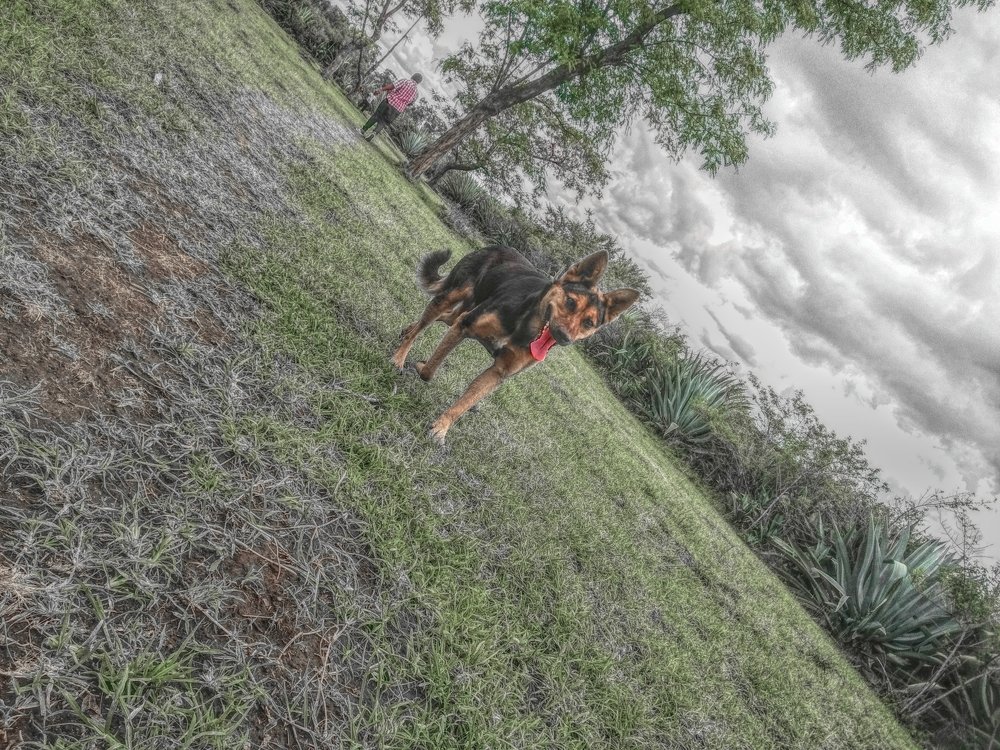 Photo #3875931