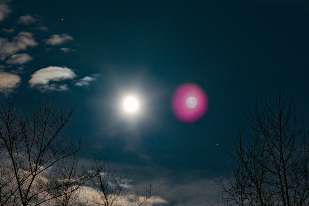 Photograph by Юлия Боровкова