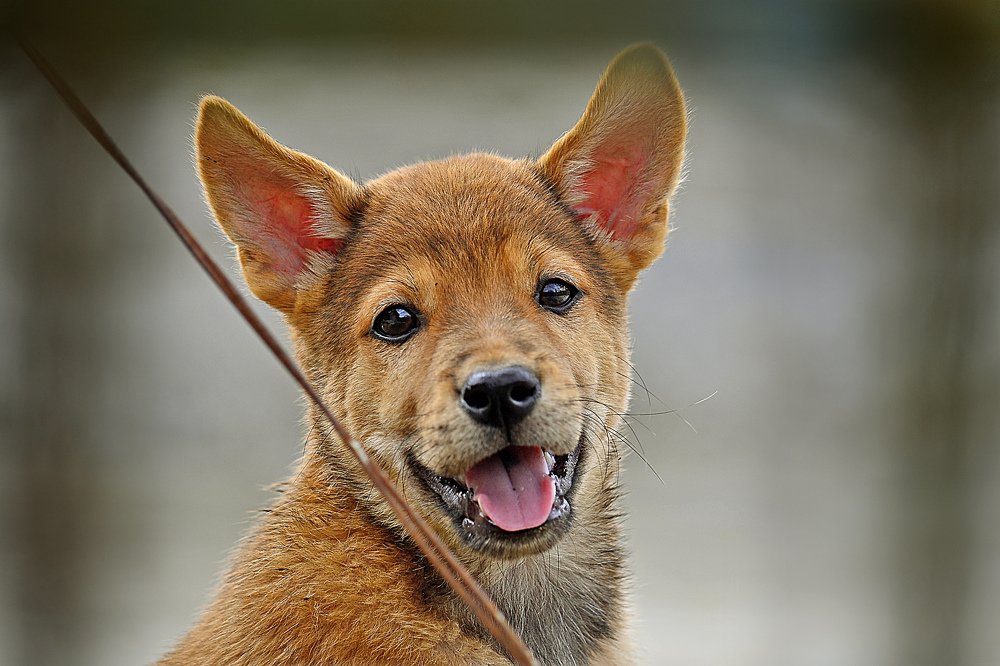 Photograph by Kriswanto Ginting