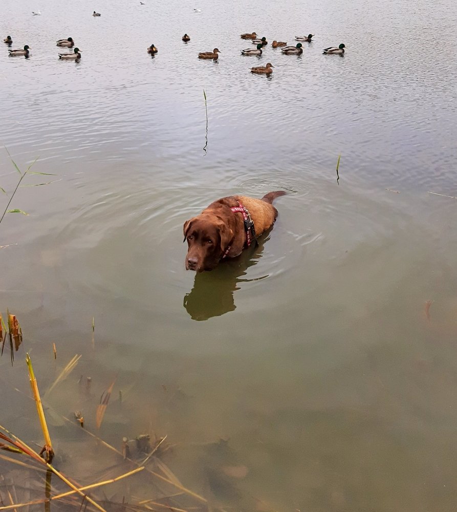 Наслаждение