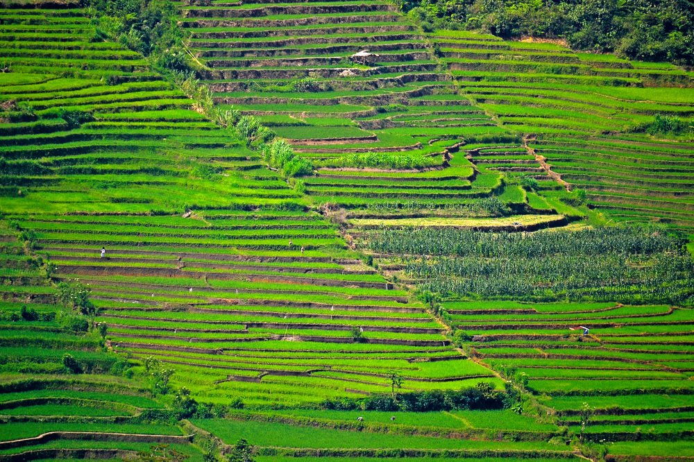 Photograph by Kriswanto Ginting