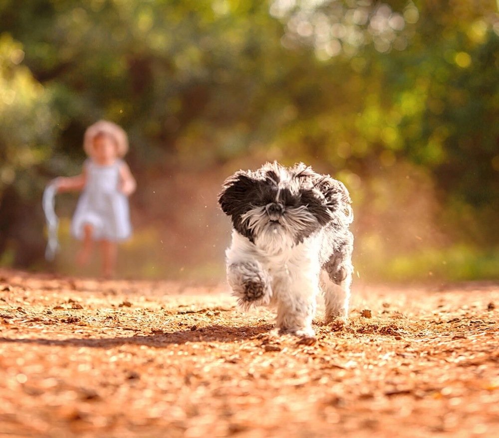 Photograph by Жанна Король