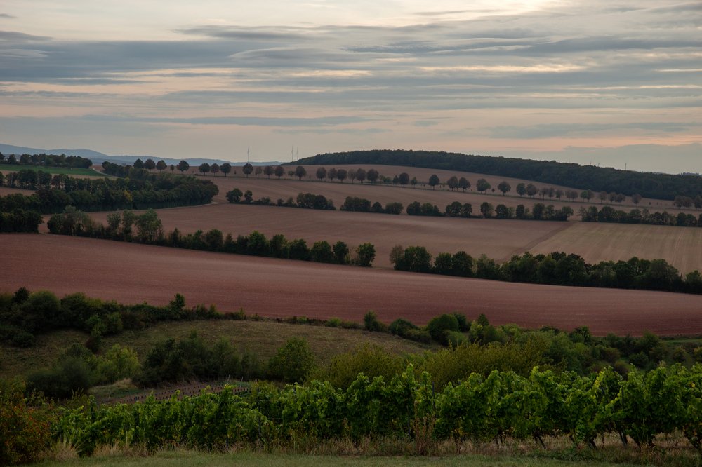 Photograph by Dace Spalviņa