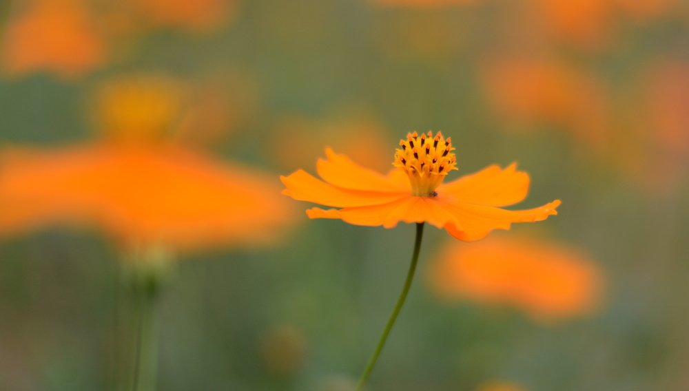 Photograph by Prabhu Viswanathan