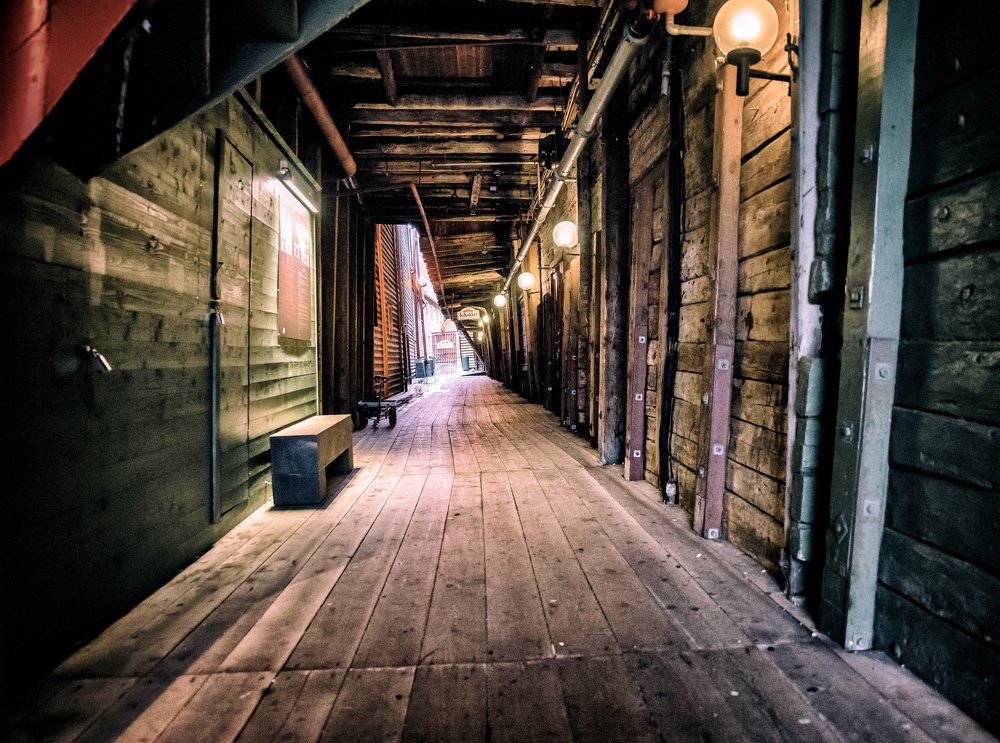 Photograph by Dace Spalviņa