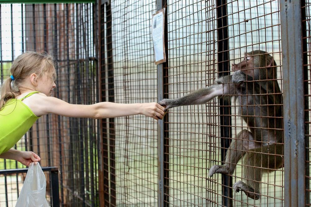 Фотография автора Светлана Дубина