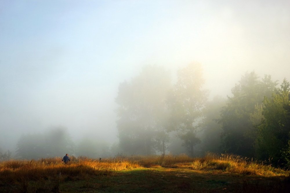 Photograph by Андрей Бабаев