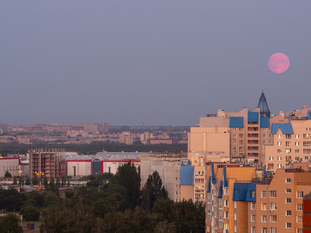 Photograph by Полина Машкова