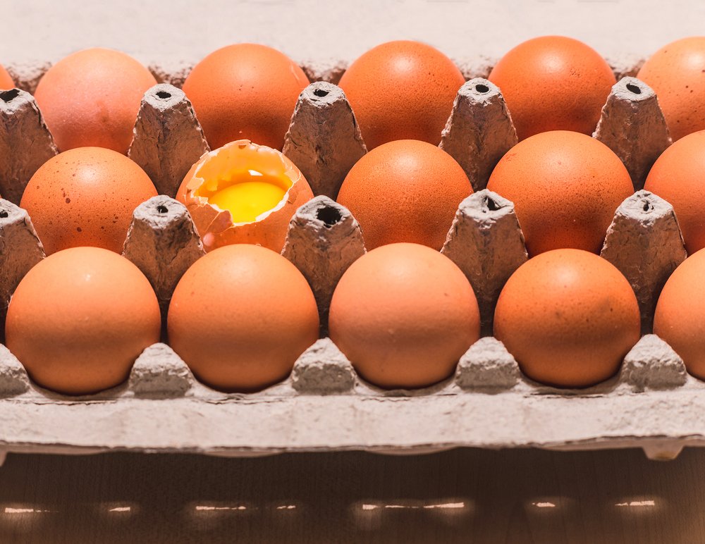 Photograph by Lorenzo Cordini