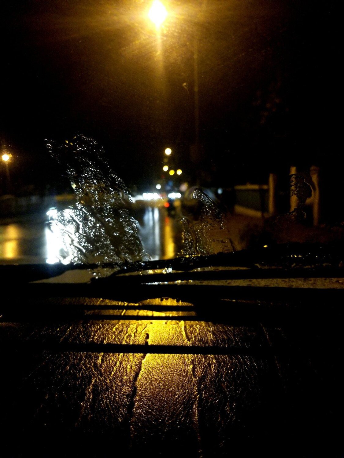 Photo #3876338