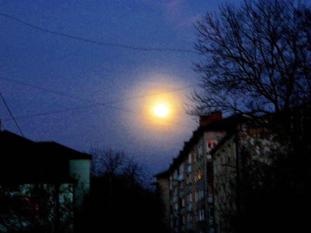 Photograph by Сергей Рапопорт