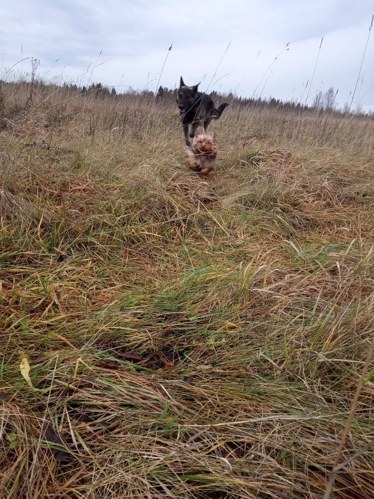 Photograph by Любовь Шаврина