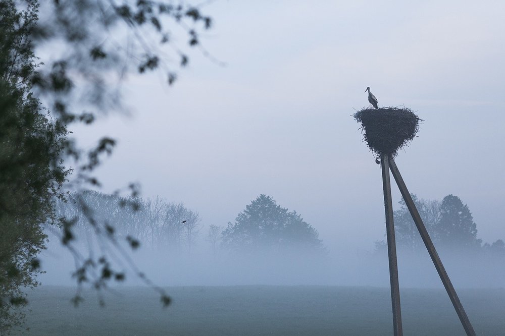 Доброе утро / Good morning