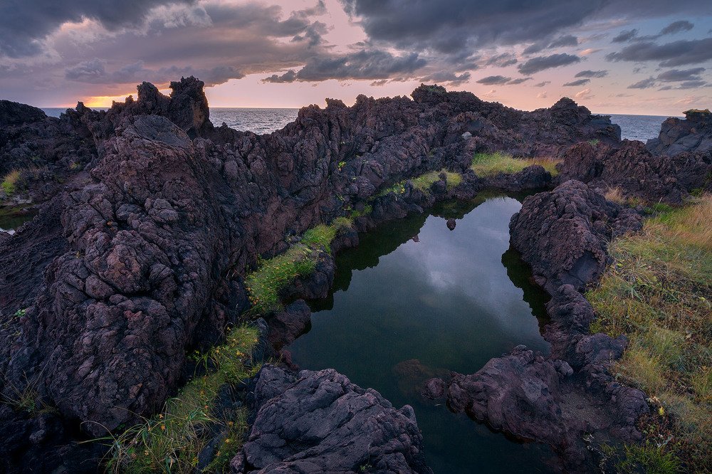 В царстве дракона