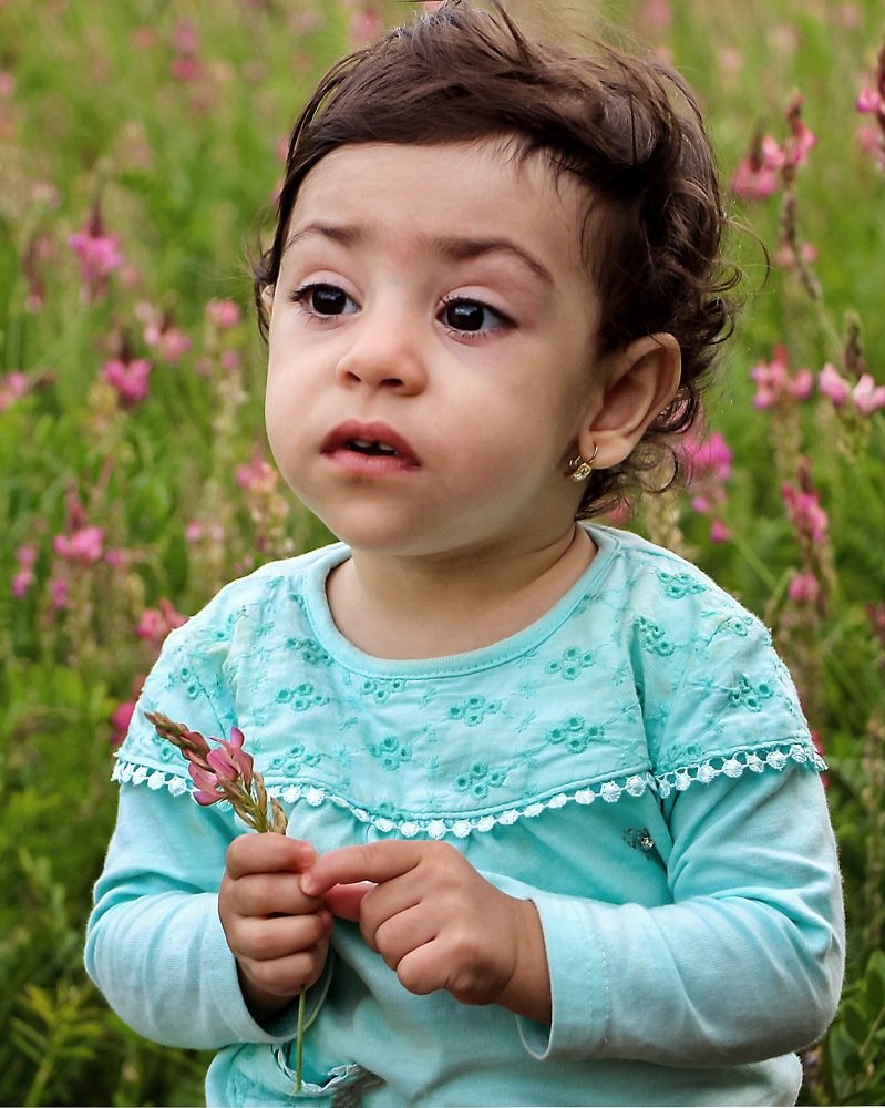 Photograph by Mina Moradi