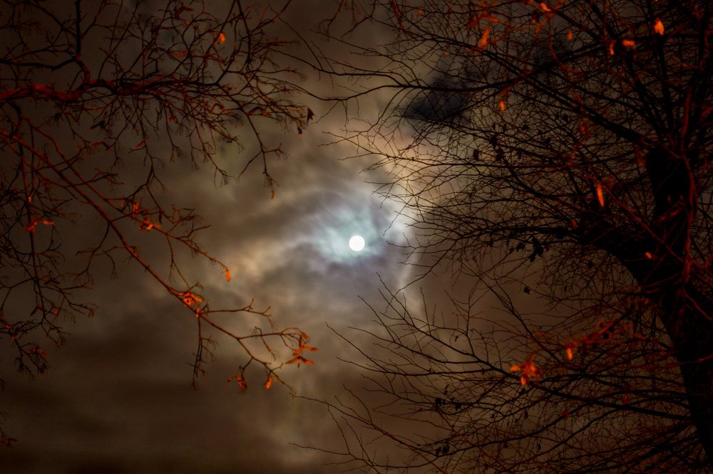 Луна и осень