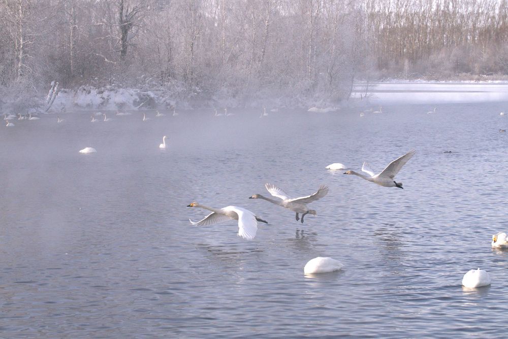 Photograph by BORIS KURTUKOV