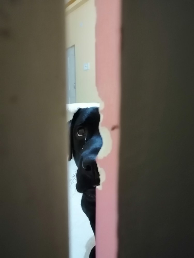 Photograph by Abhijeet Kumar Thakur